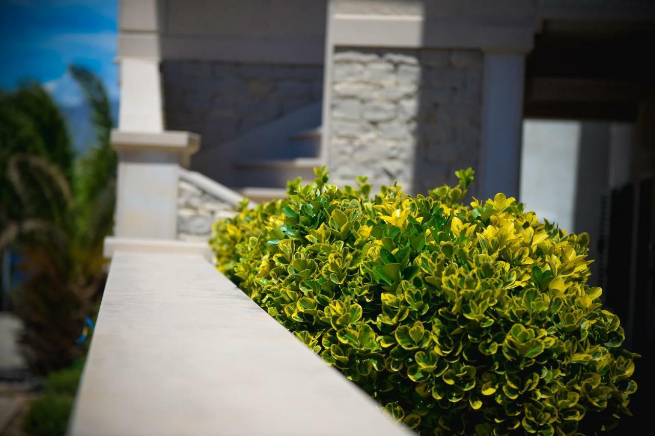 Apartment Markioli Povlja  Ngoại thất bức ảnh